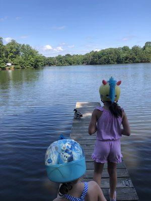 ... to watching the ducks. Lots of fun at OHC.