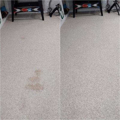 Carpet stain before & after