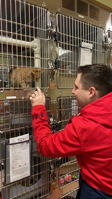 Assistant Manager Andrew gets to know the kitties at SW Washington Humane Society.