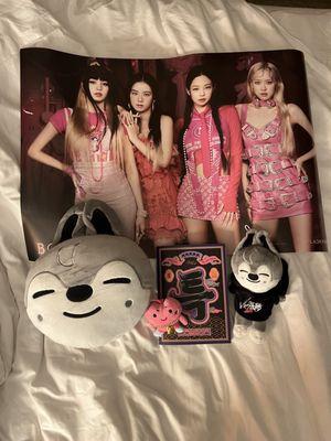 I got a free Blackpink poster with my purchase!