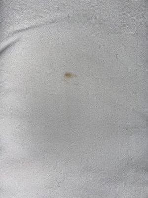 Blood stain from first roach found.