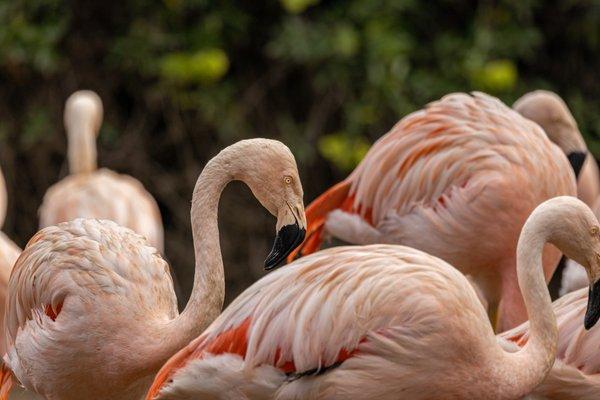 Santa Barbara Zoo