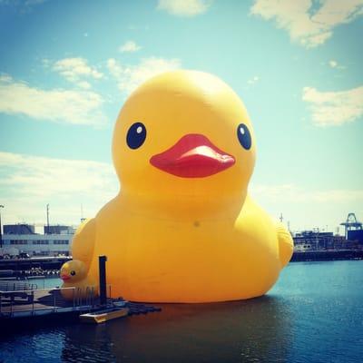 #Rubberduckla