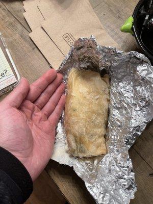 A poorly made burrito.