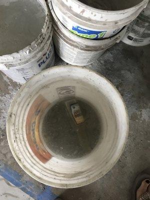 Filthy bucket of water with a beer bottle floating in it!  This was left in our condo after they were working on a Friday afternoon.