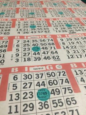 Intense bingo!!