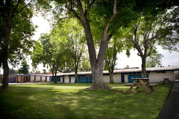 A view of the Prentice quad from the back