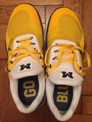 Go Blue Nikes from the M-Den