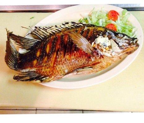 Mojarra