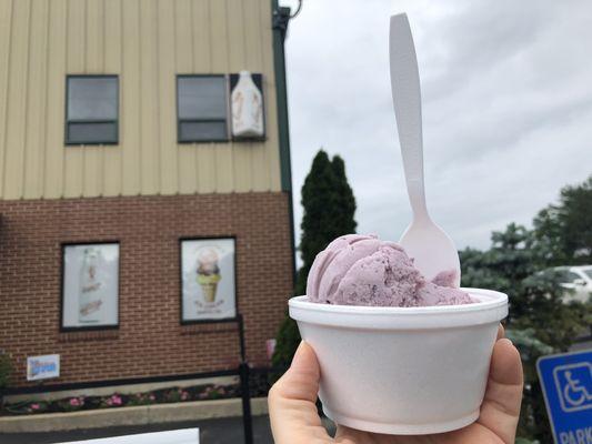 Blueberry frozen yogurt