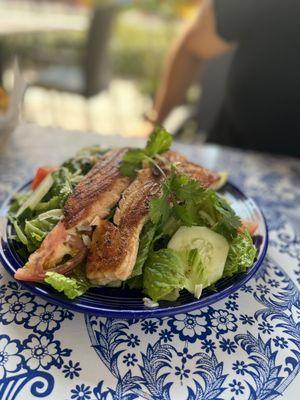 Salmon salad. Very large salad