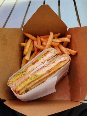 Iron Chicken Panini with Fries