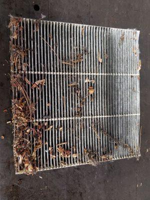 This cabin air filter was way past due to be changed.