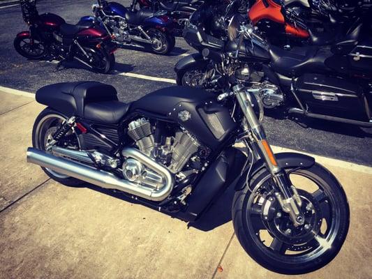 2016 Harley Davidson V-Rod Muscle