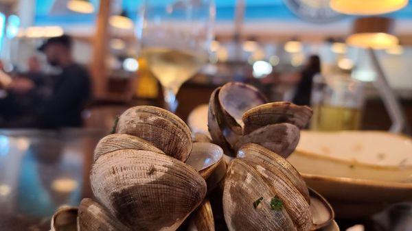 Appetizer - Steamer clams Pictures by Heath Anderson "HealthybyHeath"