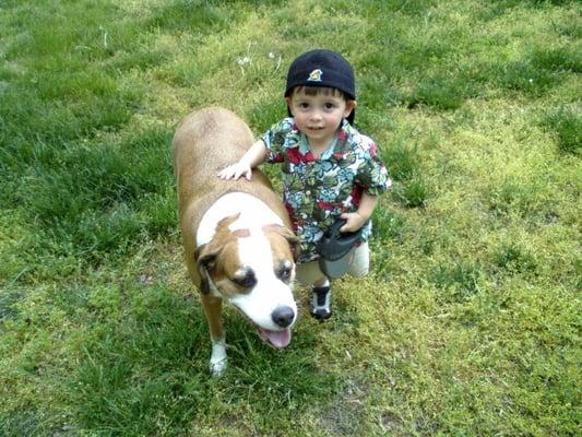 Ben & the Beau Dog -- we miss you, Big Guy!