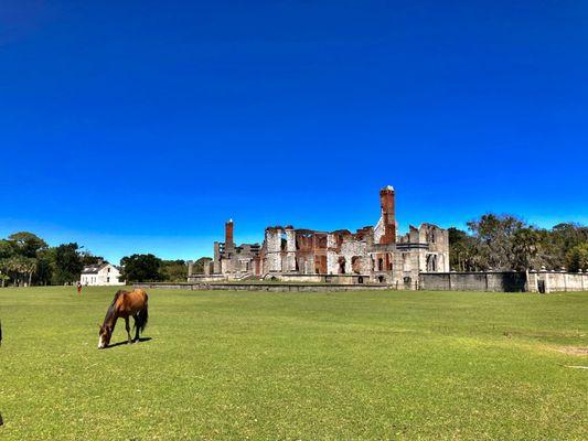 Cumberland Island National Seashore