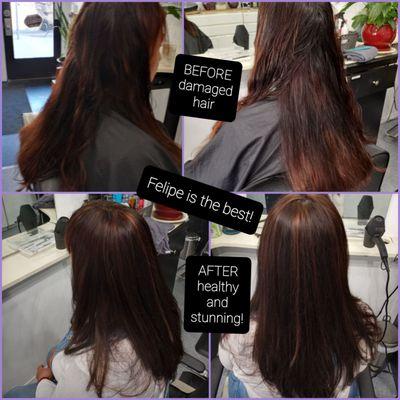 From a disastrous mess to a beautiful cut and color thanks to Felipe!