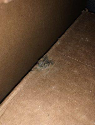 mold on cookie dough boxes