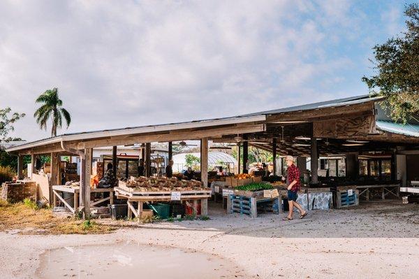 An external view of Jessica's Organic Farm, early in the morning before opening, showing a customer, fresh fruit and sprouts.