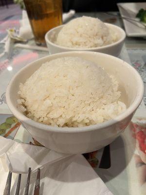 Rice