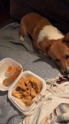 Spring rolls, tofu, and dog