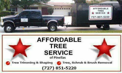 Call for a Quote or on our website Affordabletreeserviceofpinellas.com