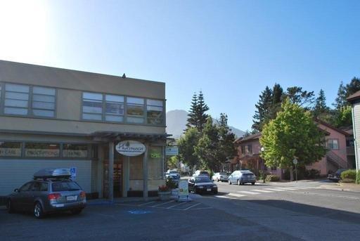 12+ Commercial Units in Mill Valley