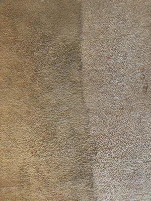 Carpet Cleaning, Before & After: