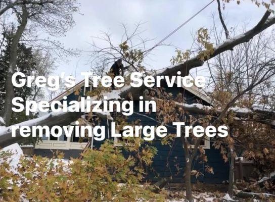 Greg's Tree Service