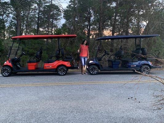 Golf cart rentals Santa Rosa Beach