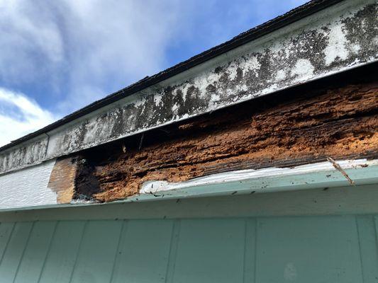 fascia rotten behind paint - this is the board they replaced during the reroofing which is now rotten.