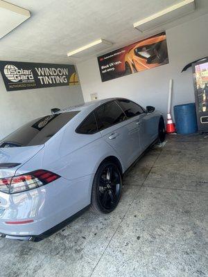 5% tint I love it