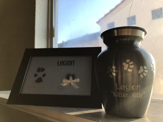 Engraved urn, and framed paw print with his black and white fur lovingly clipped in there with a beautiful white bow.