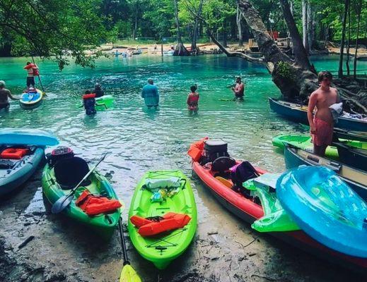 Come rental a canoe, kayak, or a paddleboard at Canoe Adventures Cypress Springs