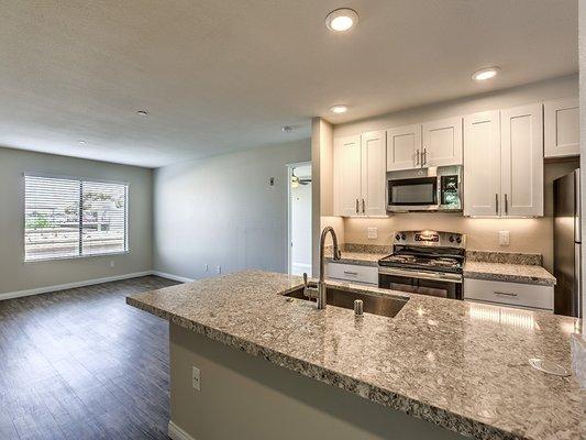 Renovated Kitchen Unit