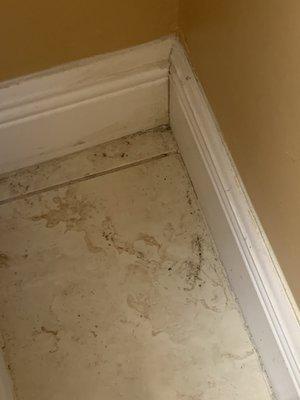 Bathroom garbage moved to find corner was never cleaned