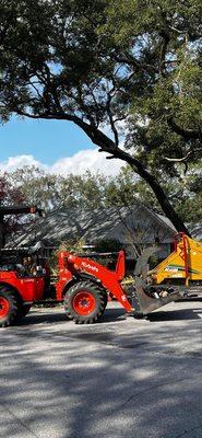 Trimming limbs around street lights in a HOA