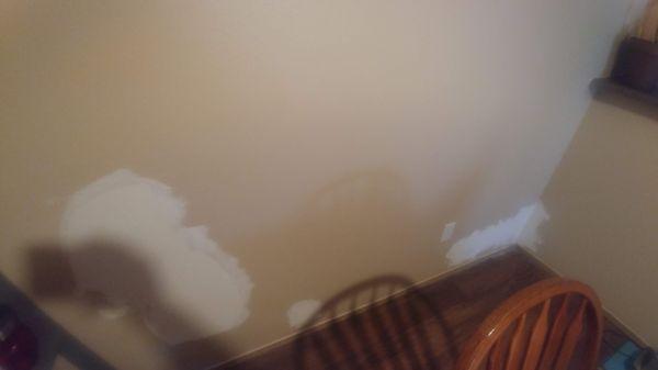 After the bubbling paint on our wall was fixed, our wall was left like this for 2 weeks.