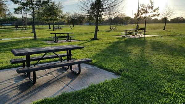 Picnic tables in a group.