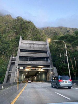 Aloha Tunnel Friday!