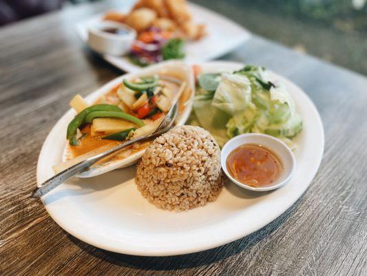 Dinner Special - Red Curry with Soy Chicken, brown rice, salad, and a veggie egg roll