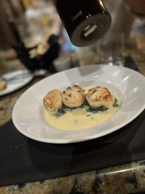 Oh, the scallops!