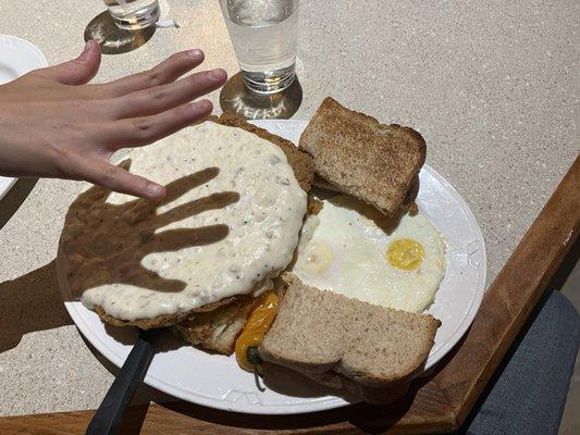 Holy crap large chicken fried steak for $12.99.