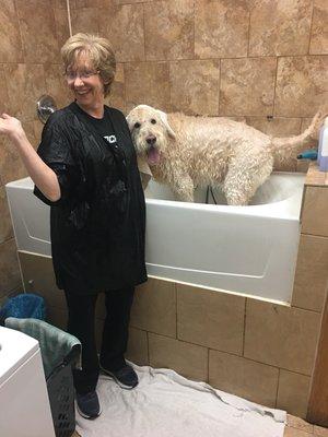 Beth DeStefano - Enjoying Bath-time as much as the Pooch!