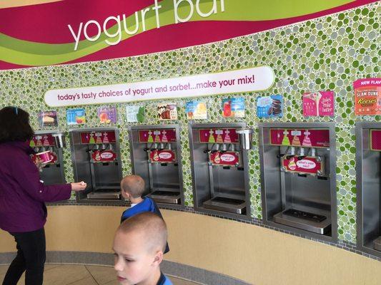 Tasty frozen yogurt choices