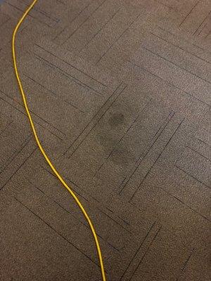 Commercial Floors Cleaning