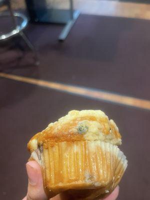 Moldy muffin