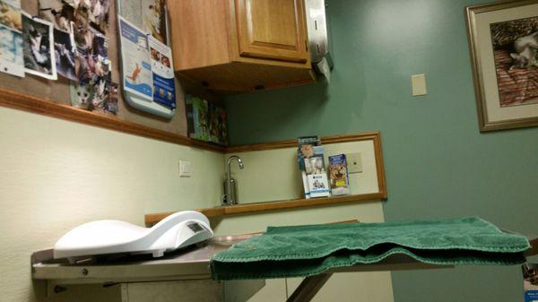 Cat exam room