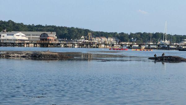 Beautiful harbor views from the dock or your balcony.  The footbridge is minutes away